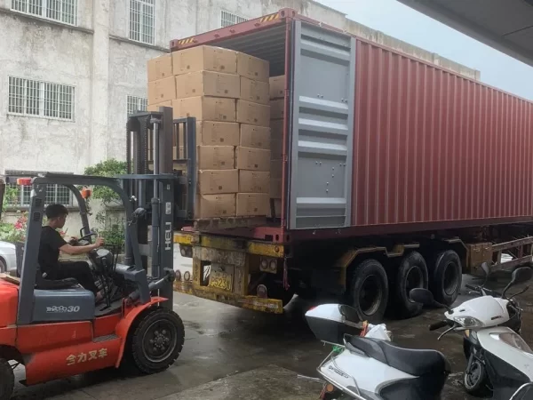 6.Packaging and Delivery