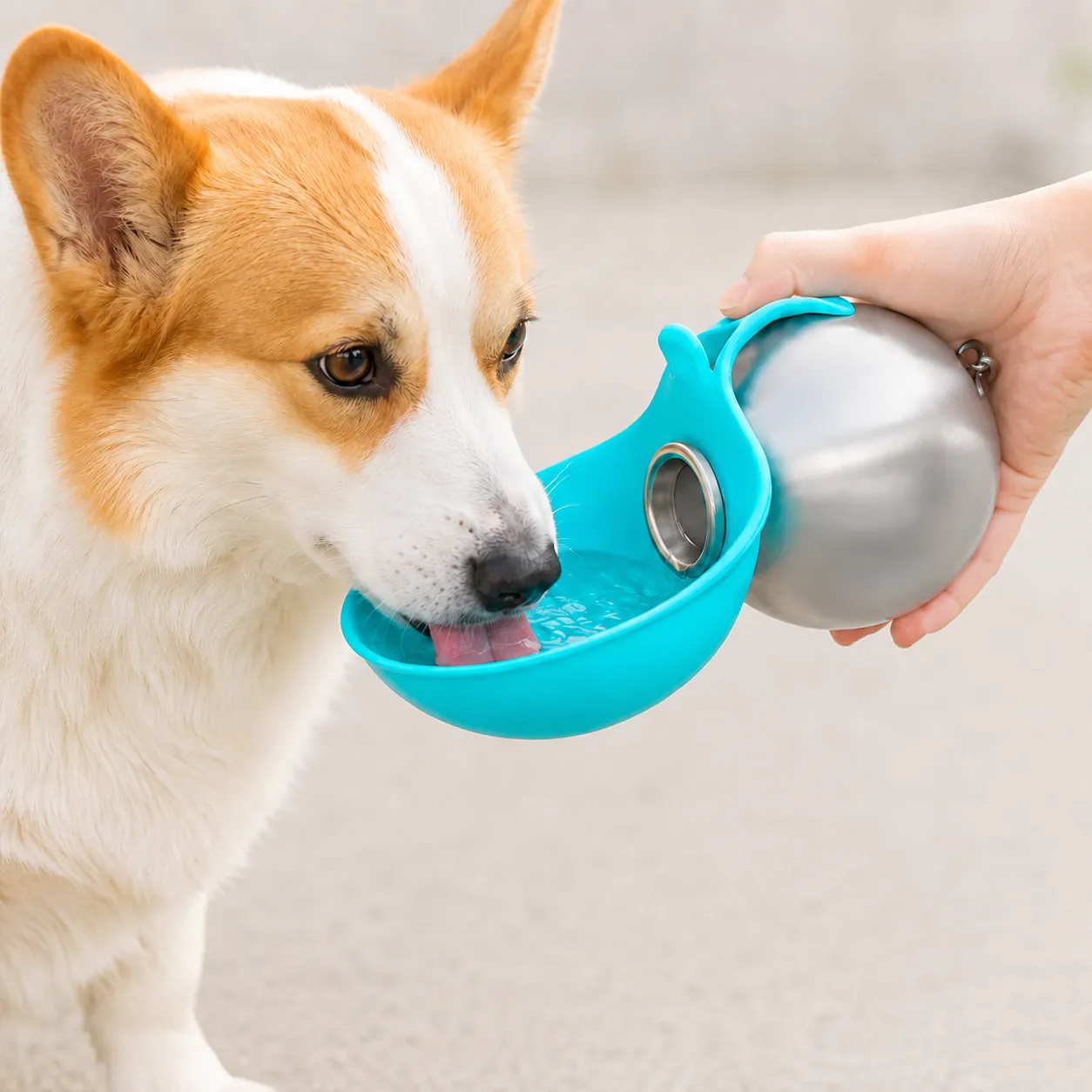 Wholesale-outdoor-pet-drinking-bottles-10